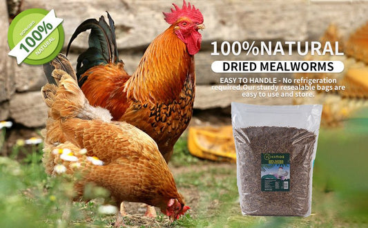 KIMOE  22lbs Bulk Dried Mealworms - Premium Non-GMO Organic Chicken Feed, Nutritious High Protein Meal Worms- Food and Treats for Laying Hens, Wild Birds, Ducks, Reptiles, Fish, Hedgehogs, Turtles