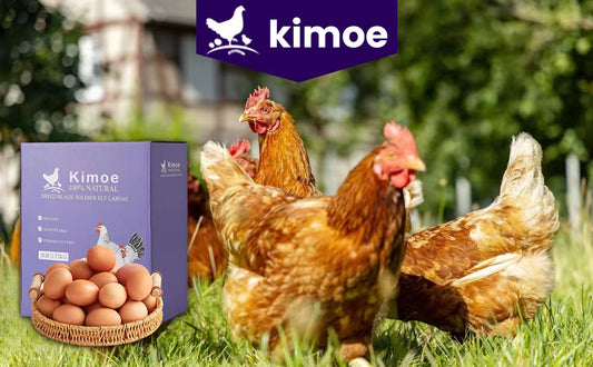 KIMOE 22LB Black Soldier Fly Larvae Treat for for Chicken More Calcium Than Mealworms,for Laying Hens,Wild Birds